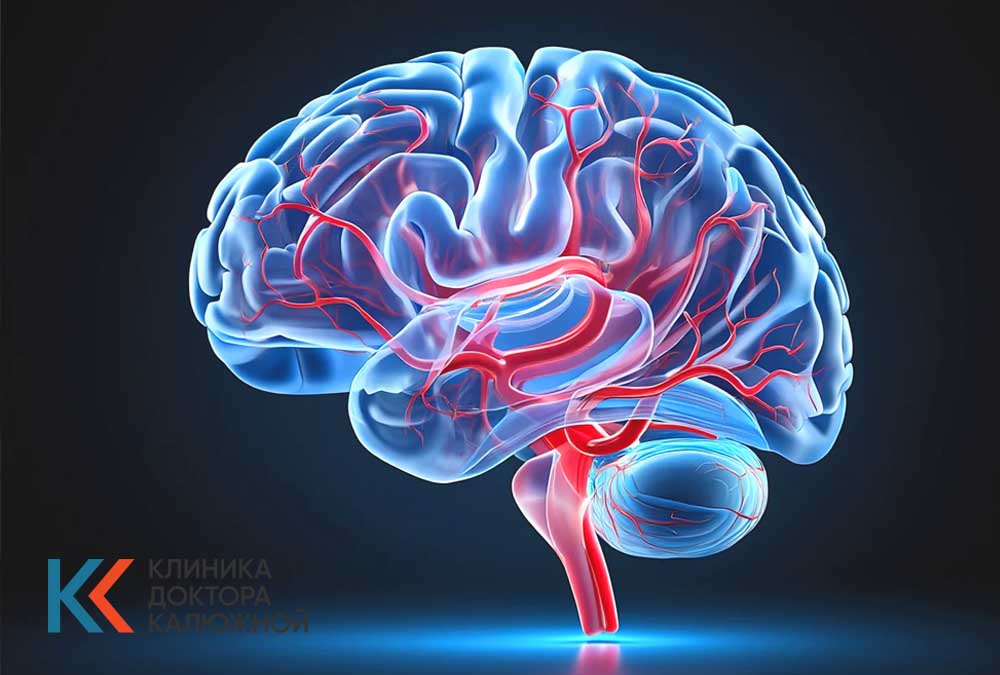 Мозг и сосуды